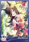 Jigsaw Puzzle Uma Musume Pretty Derby Happiness is 300 pieces over the corn