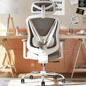 Ergonomischer Bürostuhl mit 3D Lordosenstütze & 3D verstellbaren Armlehnen - V-Form - Bild 1 von 8