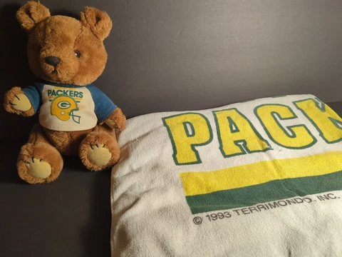 Vintage Green Bay Packers 1981 R Dakin Stuffed Bear & 1993 Terrimondo NFL Towel Cover