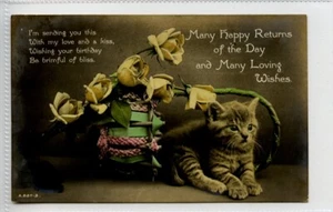 (Gd1542) RPPC, Superkatze / Kätzchen im Blumenkorb um 1910 - Bild 1 von 4