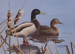 NEU Mallard Paar signierter limitierter Druck von Jerrie Glasper - Mallard Ducks - Bild 1 von 1