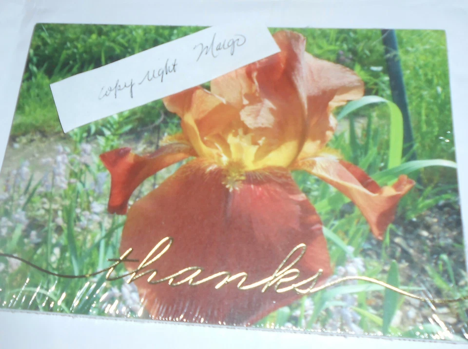 Impresionantes tarjetas de iris de 5x7 hechas a medida con guión metálico de "Gracias" un conjunto de 10 Foto 1 de 1
