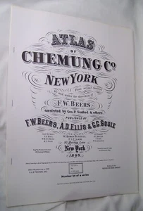 1866 CHEMUNG COUNTY NY ATLAS MAP FW BEERS ELMIRA HORSE HEADS CATLIN 1975 REPRINT - Picture 1 of 12