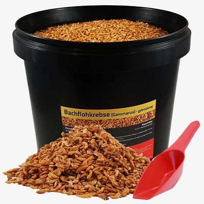 10 Liter Bachflohkrebse Koifutter Koi Gammarus Vogel Reptilien im Eimer+Schaufel - Bild 1 von 3
