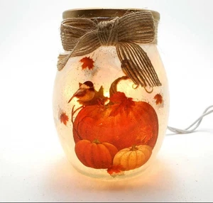 Stony Creek dekorative beleuchtete Glaskürbisse Küken Schilf Gras 4" Glas - Bild 1 von 7