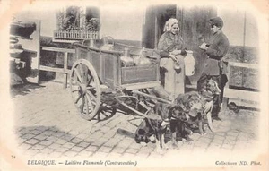 Belgique - Laitière flamande - La contravention - Ed. Neurdein ND Phot. 74 - Picture 1 of 2