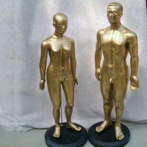 Human Model Male/Female Acupuncture Point Meridians Model Medical Education Tool - Picture 1 of 12