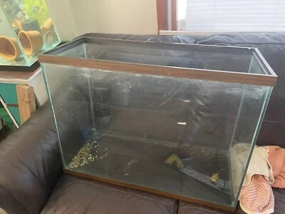 Tanque de acuario largo de 40 galones de vidrio estándar Aqueon, borde negro Foto 1 de 3