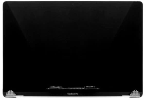 OEM MacBook Pro 15 2018 2019 A1990 LCD Screen Assembly 661-10356 - Silver /B - Photo 1/4