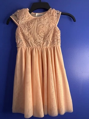 Vestido de Gasa Melocotón para Niña Talla 5 Encaje Brillante Fiesta de Vacaciones Ocasión Especial Foto 1 de 4