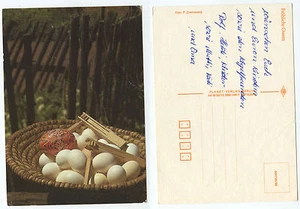 20576 - Huevos en cesta - Feliz Pascua - Postal antigua - Imagen 1 de 1