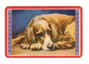 Vintage Swap Card 1950's - Original Woolworths - Resting dog - Bild 1 von 2