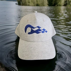 PRINCESS CRUISE LINES GORRA GORRA VINTAGE 100% ALGODÓN AJUSTABLE SNAPBACK GRIS *** - Imagen 1 de 9