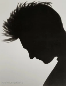 1989 Vintage KD LANG Hair Shadow By HERB RITTS Pop Country Music Photo Art 12x16 - Picture 1 of 1