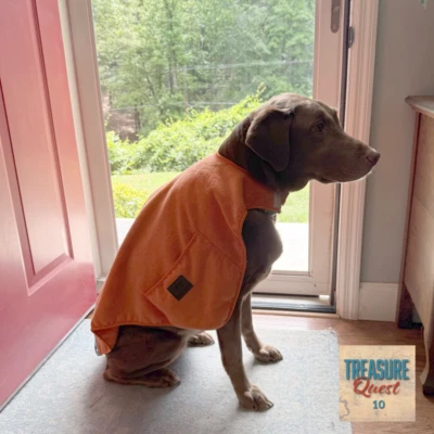 Toalla Cape Dog para diversión de baño - Usable para secar a tu perro rápido - NUEVA Foto 1 de 3