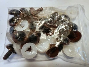 20mm Brown Safety Eyes Plastic Eyes Plastic Craft Eyes Teddy Bear 10 Pairs - Picture 1 of 4