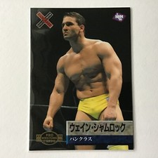 BBM Wrestling Card 1995 Ken Shamrock Pancrase UFC Pride WWE No.112