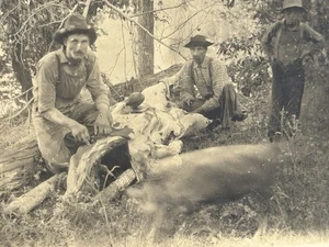 C 1890s RPPC Mule Skinners Transporting Goods And Supplies Cutting Up A Steer - Picture 1 of 3