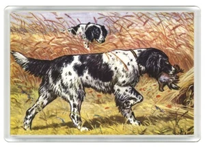 GROSSER MUNSTERLÄNDER HUND KUNSTDRUCK NEUHEIT ACRYL KÜHLSCHRANKMAGNET TOLLES GESCHENK - Bild 1 von 1