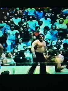 Classic Memphis Wrestling from 1976 DVD - Fargo, Lawler, Dundee, Yamamoto…🔥🔥🔥 - Imagen 1 de 7