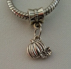 Pumpkin Squash Vegetable Food Dangle Bead Fits European Style Charm Bracelet - Picture 1 of 4