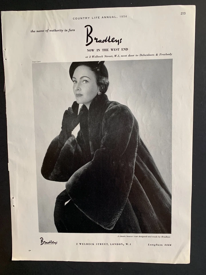 1954 年 Bradleys Furs 伦敦英国广告 13"x9" 经典海狸外套 — 第 1/1 张图片