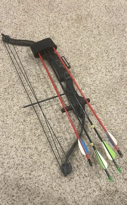 Arco compuesto Golden Eagle Brave juvenil completo con 4 flechas Foto 1 de 4