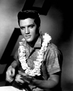 Elvis Presley strums guitar in Hawaiian shirt & lei Blue Hawaii 5x7 photo - Picture 1 of 1