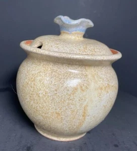 Miel Azúcar Sal Especias Tarro Cerámica Arte Cerámica Flor Azul En Tapa Esmaltado Regalo - Imagen 1 de 11