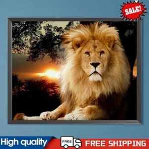 Lion Oil Paint By Numbers Kit Canvas Drawing DIY Coloring Picture for Adult ~G - Picture 1 of 8