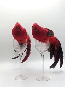 Künstlicher roter Vogel Ornamente 2er Set lange echte Federschwänze mit Clips 15" - Bild 1 von 14