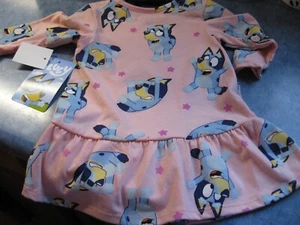 Bluey Baby Girls Pink Long Sleeve Drop Waist Dress Size 3T Toddlers New - Picture 1 of 5