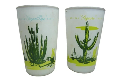 GAFAS PARA CACTUS ARIZONA (2) cactus esmeriladas Foto 1 de 4