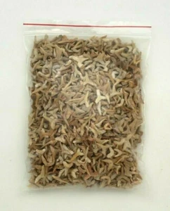 ONE POUND BAG OF ASSORTED SHARK TEETH ~ 40 MILLION-55 MILLION YEARS OLD!! - Picture 1 of 3