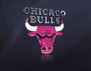 FOTO LOGO SIN FIRMAR DE LOS CHICAGO BULLS 8X10 EMBLEMA DE LA NBA IMAGEN - Imagen 1 de 1