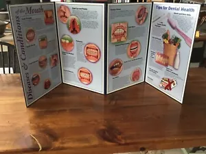 HEALTH EDCO HEALTH EDUCATION MOBILE CASE 4 FOLD DISPLAY ABOUT TEETH - Picture 1 of 9