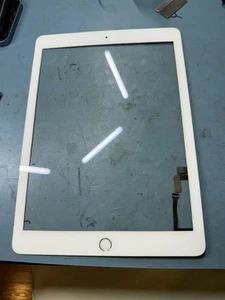 OEM Touch Screen Digitizer Glass Replacement For 2018 iPad 5 5th Gen A1822 A1823 - Photo 1/2
