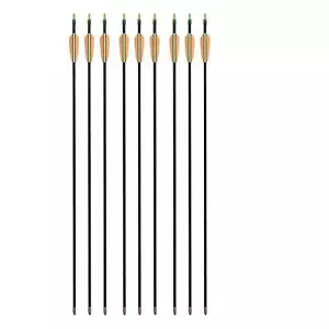 9 Fiberglaspfeile Pfeile Fiberglaspfeil Recurvebogen Sportbogen Bogenpfeile - Bild 1 von 2