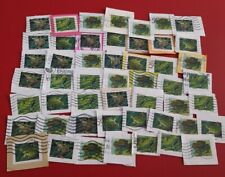 50 Usa Frogs Used Forever Stamps on Paper 
