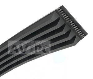 Courroie de remplacement 813PJ5 EL Elastique pour Betonnière ALTRAD B165