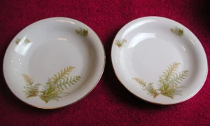 {SET OF 2} PT Tirschenreuth (Trianon #2375) 8 1/2" SOUP BOWLS Exc (6 set avail) - Picture 1 of 3