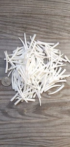 4oz (1/4 lb) smooth dentalium shells, 1 inch to 1.75 inch - Picture 1 of 5