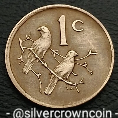 Sudáfrica 1 centavo 1989. KM#82. Moneda de un centavo. Gorriones. Pájaros.  Foto 1 de 4