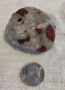 ESPECIMEN DE CONGLOMERADO DE JASPE ÁGATA PIEDRA PUDÍN DE LOS GRANDES LAGOS DE Michigan de 6,50 oz #68 - Imagen 1 de 16