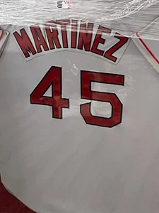 Pedro Martinez Framed Autographed Jersey - Player's Closet Project - Picture 1 of 1