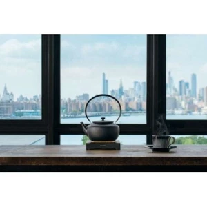 BALMUDA MoonKettle KPT02JP BK AC100V Electric Tea Kettles AC100V NEW from Japan - Picture 1 of 8