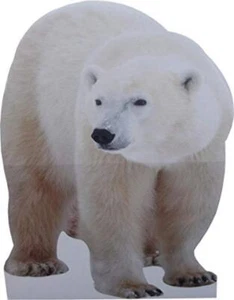 aahs!! Engraving Animal Life Size Cardboard Cutout Stand Up | Standee Picture Po - Picture 1 of 2