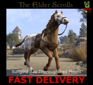 The Elder Scrolls Online - Sungold Bay Thoroughbred Mount KEY - Picture 1 of 2