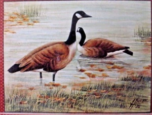JOYCE BEEBE 1986 FALL CANADA GEESE WATERFOWL PAIR PAINTING PATTERN PACK - Picture 1 of 2