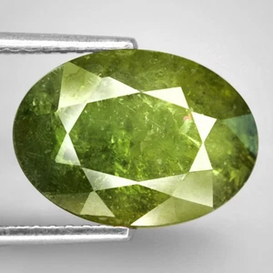 4.02Ct. Natural Gemstone Sapphire Yellow Green Big Oval Normal Heated Australia - Picture 1 of 7